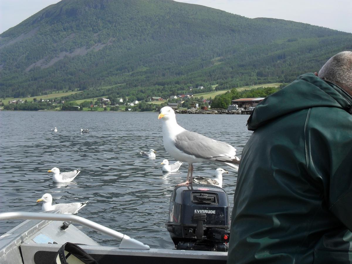 Fagervik Camping Tresfjord Exterior foto